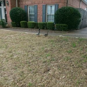 Meet your Posher, Latisha